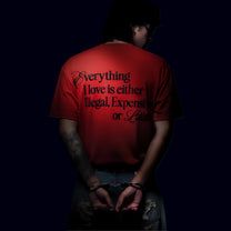 Everything I Love is either Illegal Expensive or Latina.