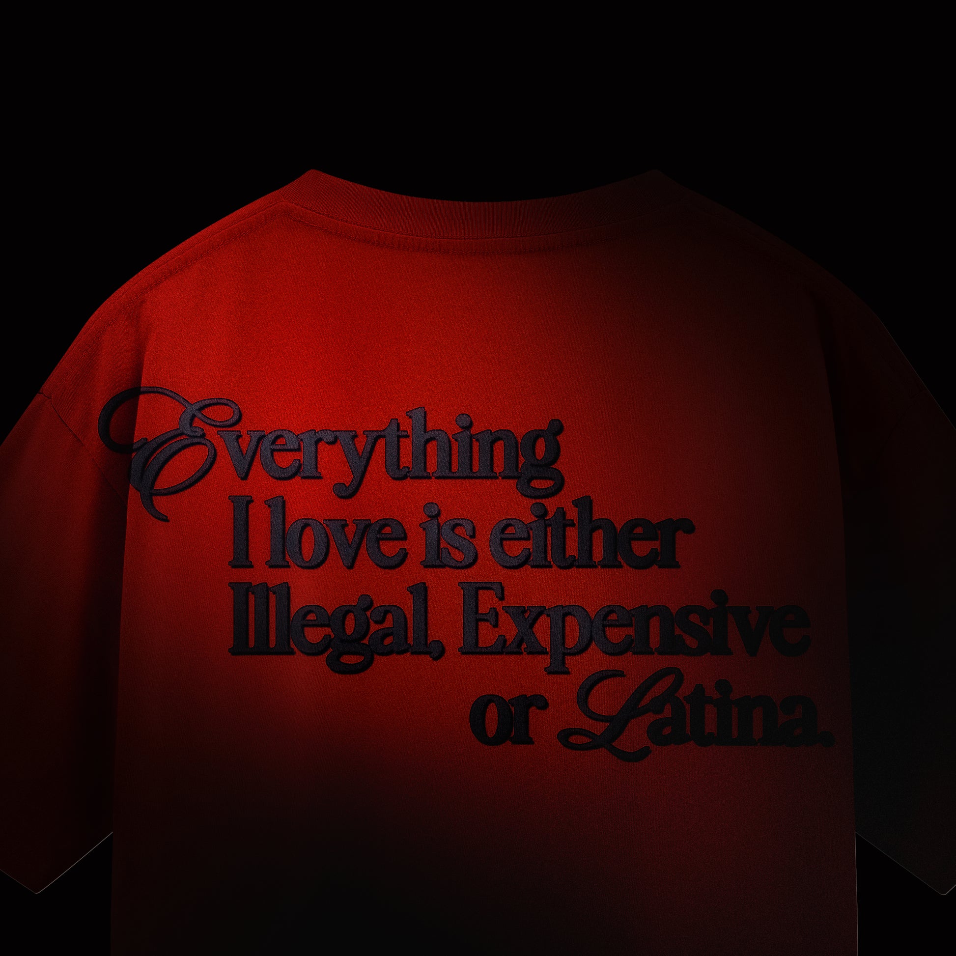 Everything I Love is either Illegal Expensive or Latina.