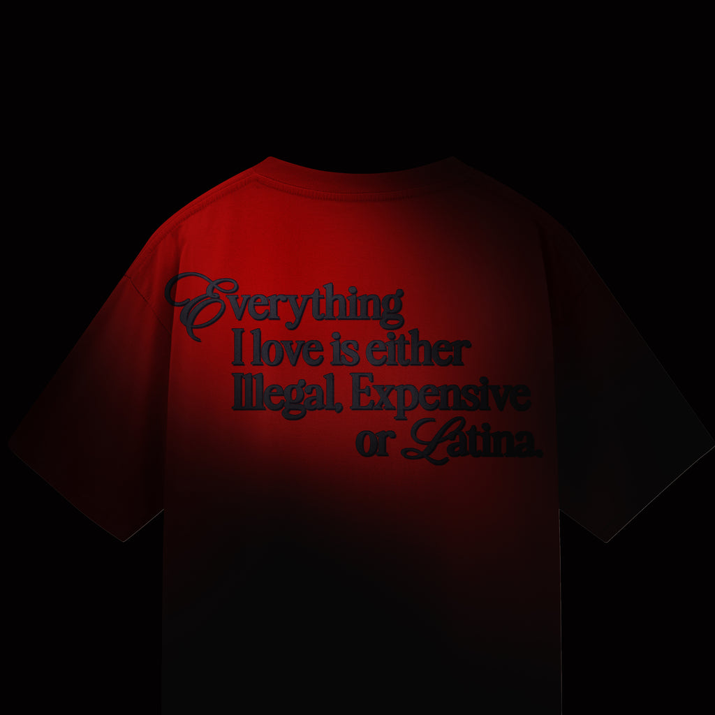 Everything I Love is either Illegal Expensive or Latina.